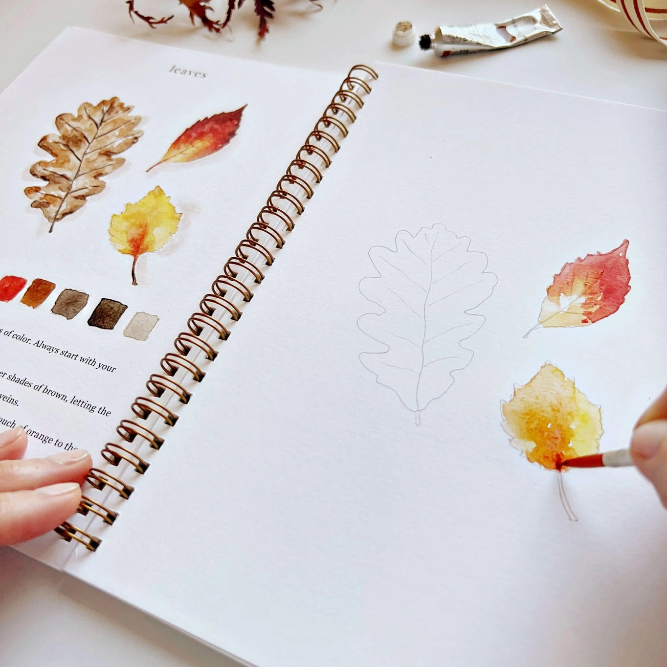 September 3rd, Emily Lex Studio: "Autumn Watercolor Workbook" Painting Class